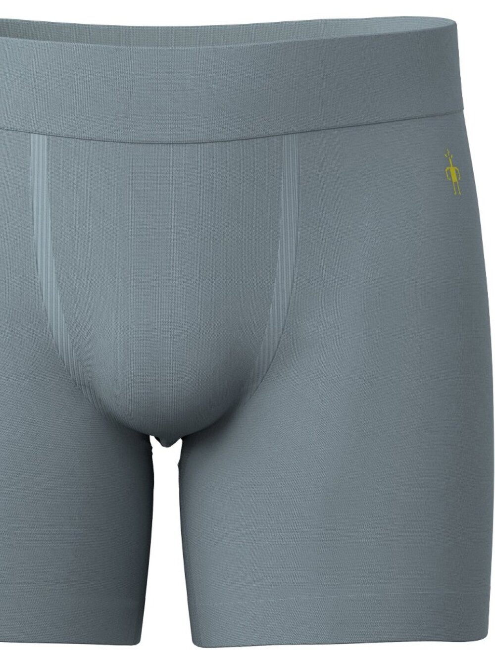 NWT Men's Smartwool Boxer Brief in Lead